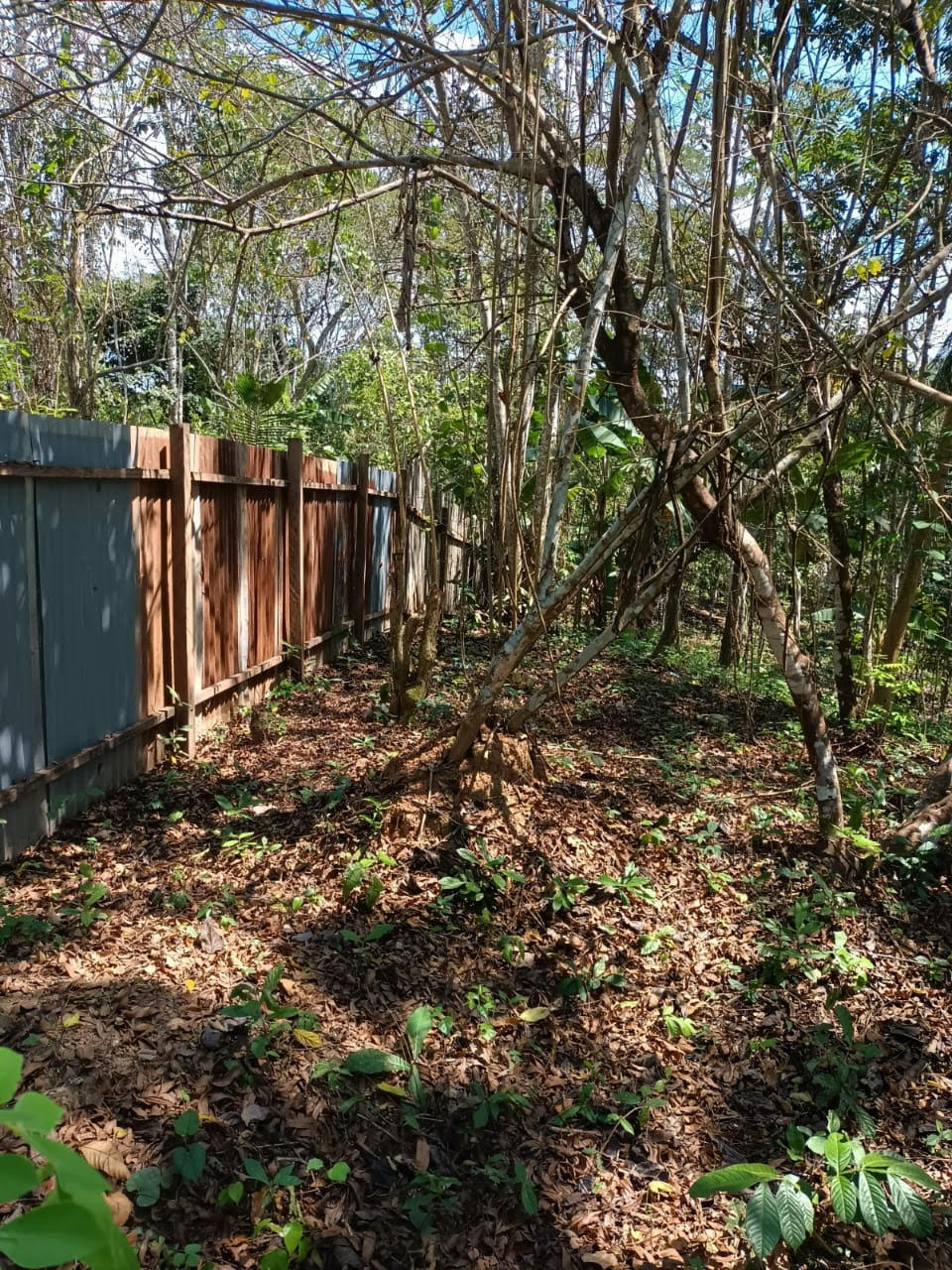 Fence Around the Garden Perimeter