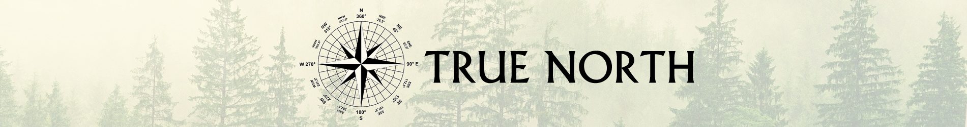 banner for TRUE NORTH