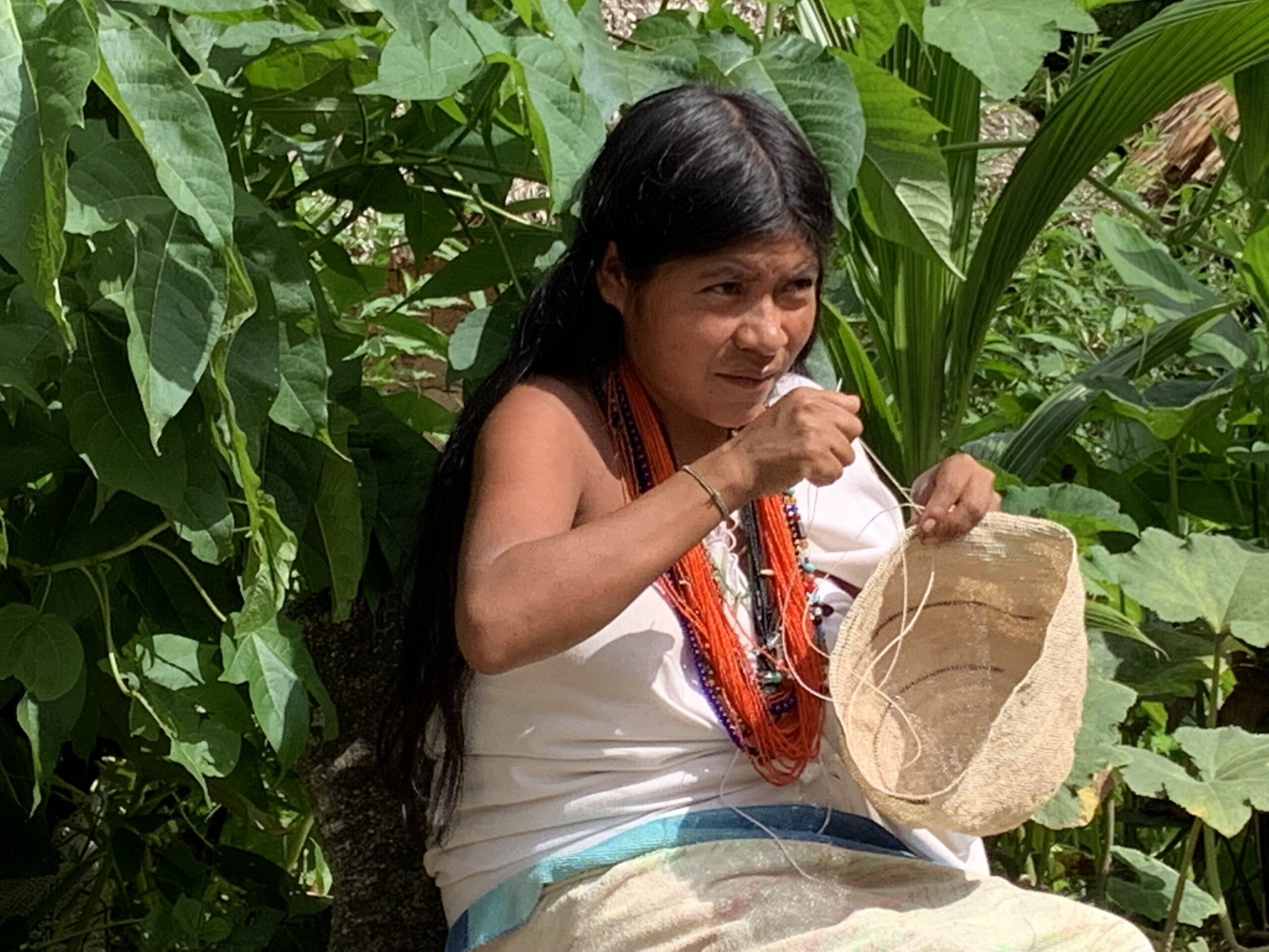 Traditional knowledge sharing from the Kogi Midwives to the Amazonian Women of Colombia - post